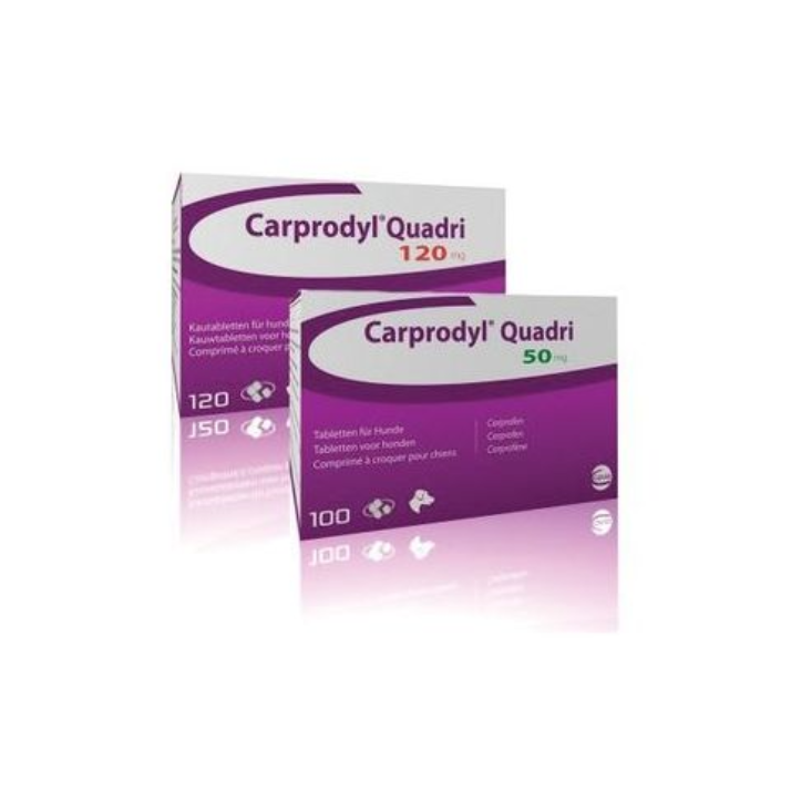 Verpakkingen Carprodyl Quadri 50 mg en 120 mg